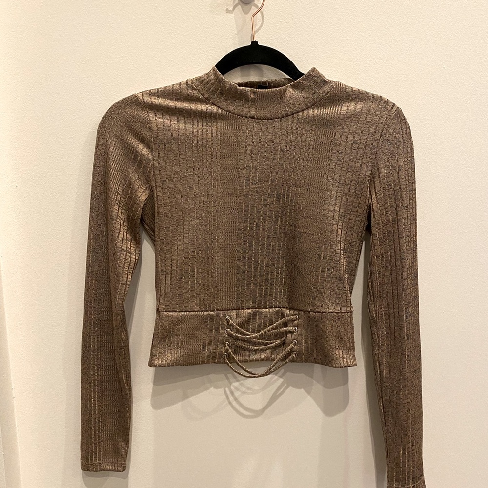 Crop Turtleneck Metallic